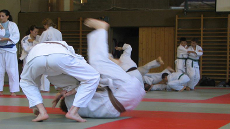 Retour sur le tatami