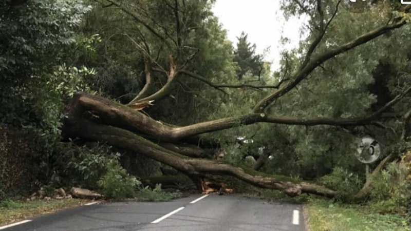 Point sur les phénomènes orageux de ce dimanche soir à 20 heures