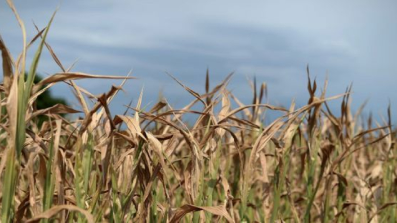 Rejet du vote de confiance, démission du gouvernement : la Chambre d'Agriculture du Gers réagit