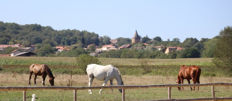 Le centre équestre du Mirandol