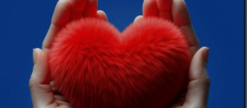Première édition de la Semaine de l'Insuffisance Cardiaque en Occitanie
