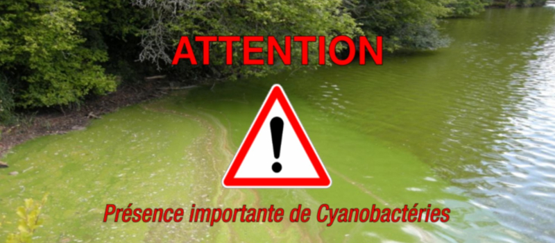 lac du lizet : risque de cyanobactéries