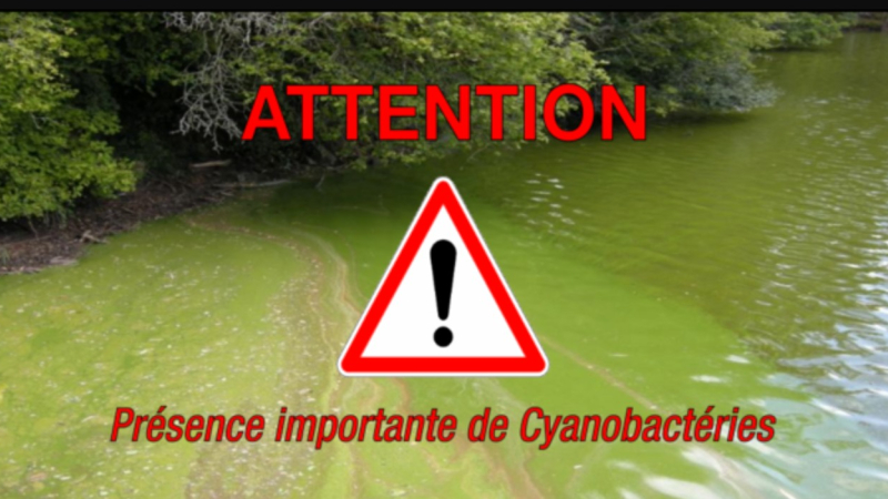 lac du lizet : risque de cyanobactéries