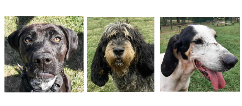 Vailla, Mino et Marius, le dernier trio de septembre !
