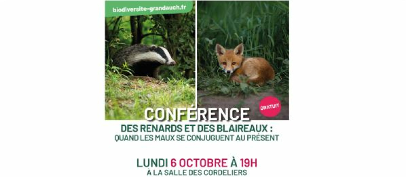 Conférence: des renards et des blaireaux…