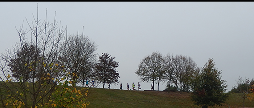 cross college101115bb.jpg