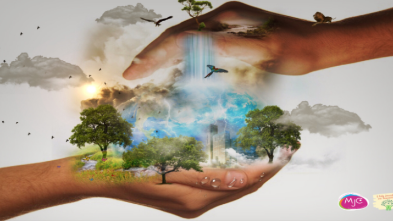 La Maïsoun : transition écologique et solidaire