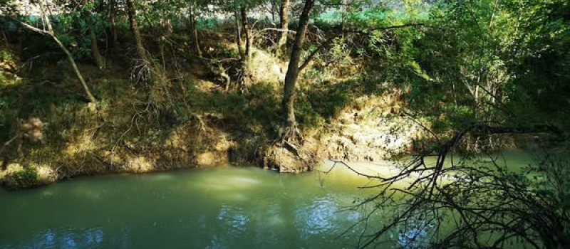 Sortie sur l'extension du chemin biodiversité