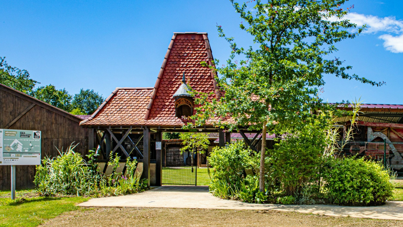 Vacances de la Toussaint : le Musée s'anime !