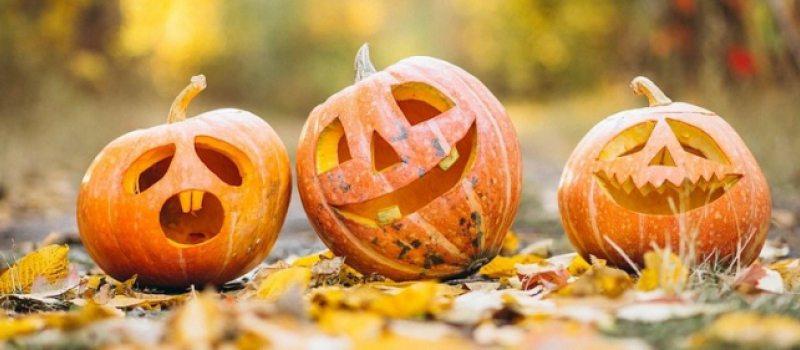 Halloween, même pas peur !