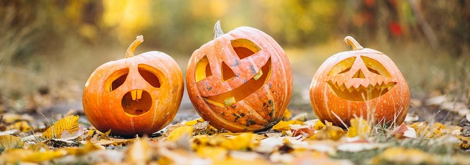pumpkin-6720424_960_720.jpg