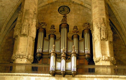 orgue condom.jpg