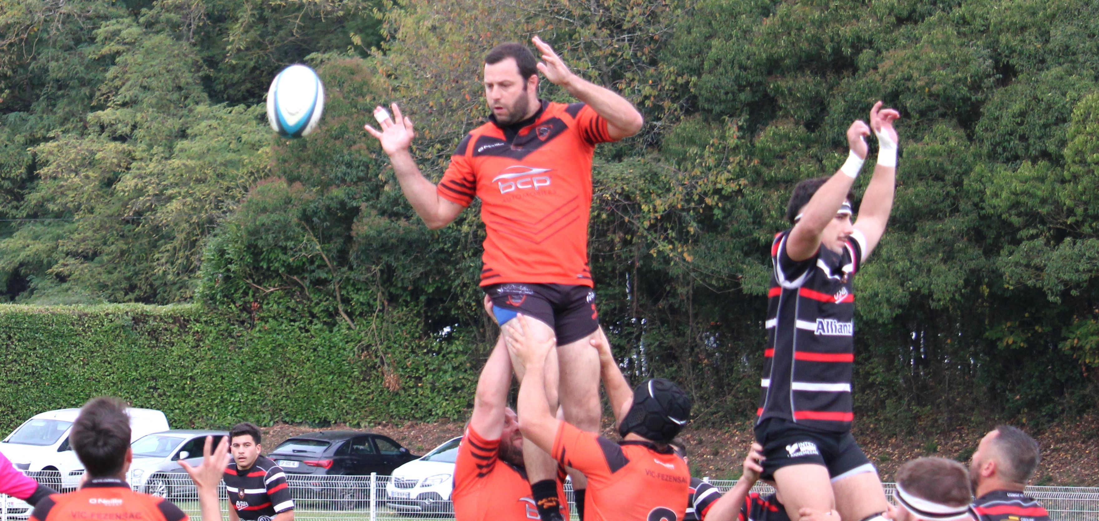 IMG_7631 t.JPG