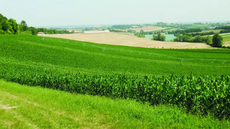 Zone vulnérable nitrates 2026 : « les hors-sol de l’administration »