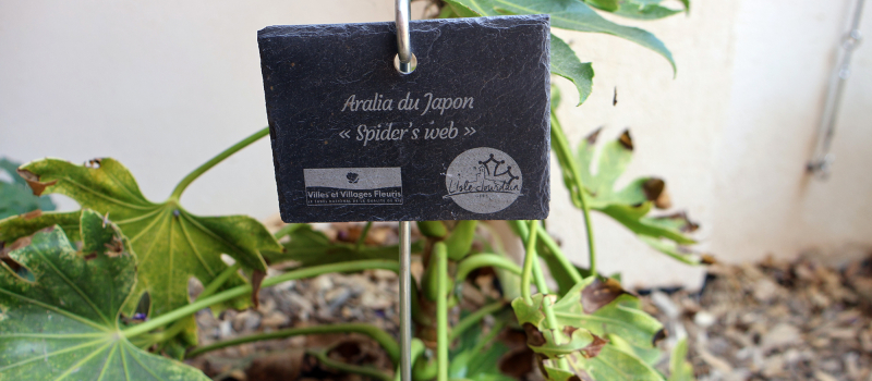 L’Isle-Jourdain obtient sa deuxième fleur au label "Villes et Villages Fleuris"