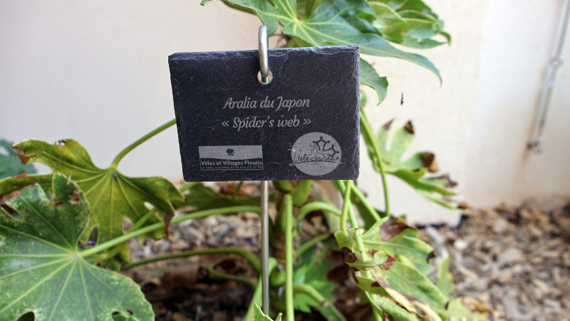 L’Isle-Jourdain obtient sa deuxième fleur au label "Villes et Villages Fleuris"