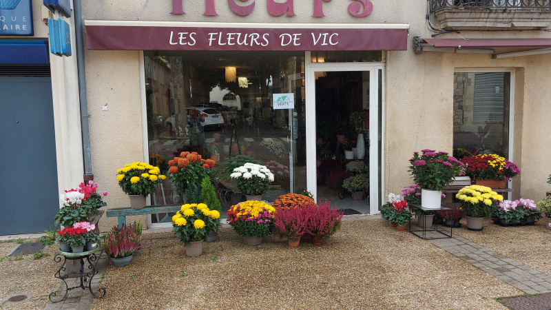 Les Fleurs de Vic : le chrysanthème, une tradition toujours bien vivante