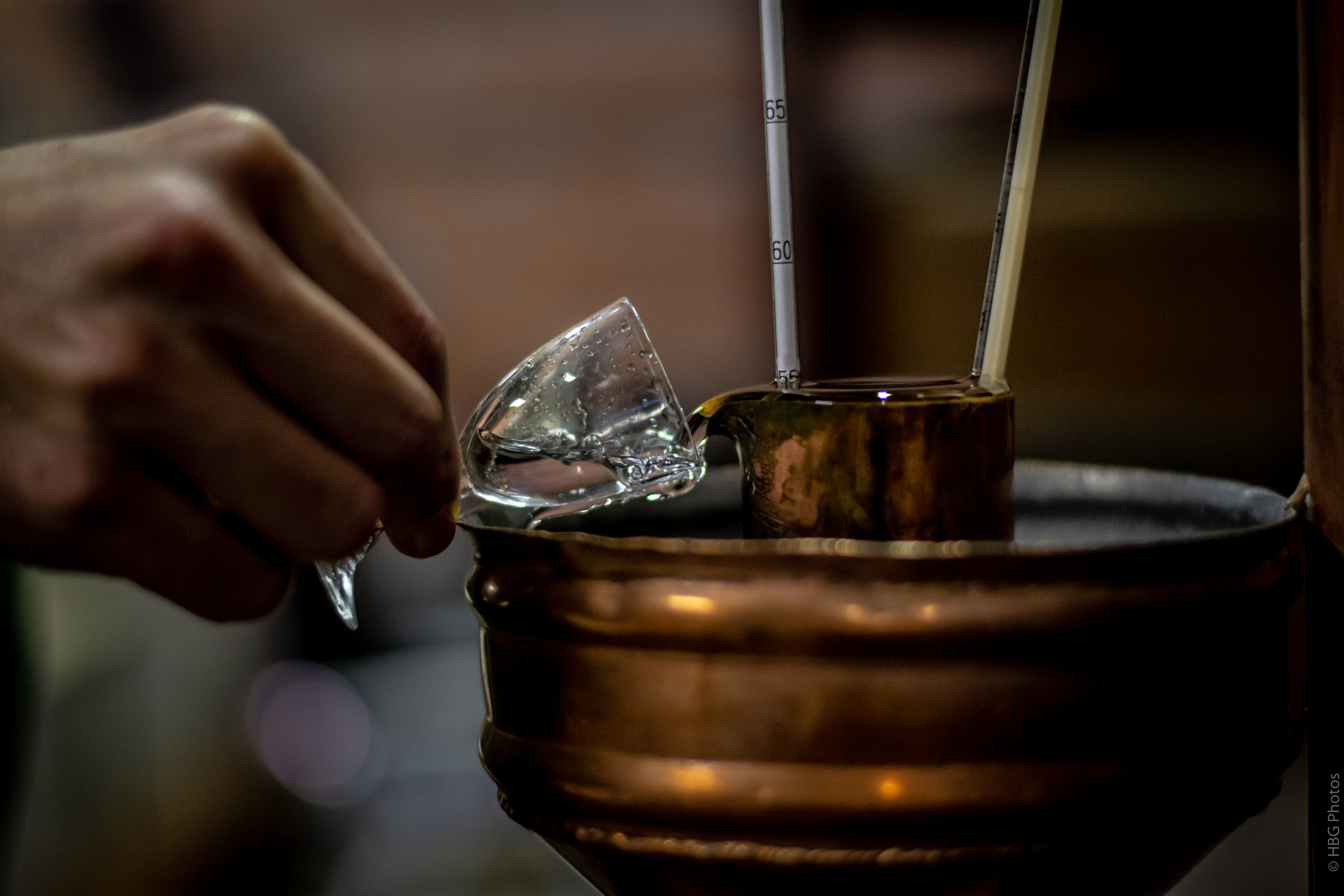 Domaine Polignac-27.jpg