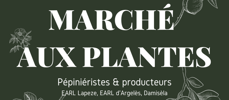 Marché aux plantes et produits locaux
