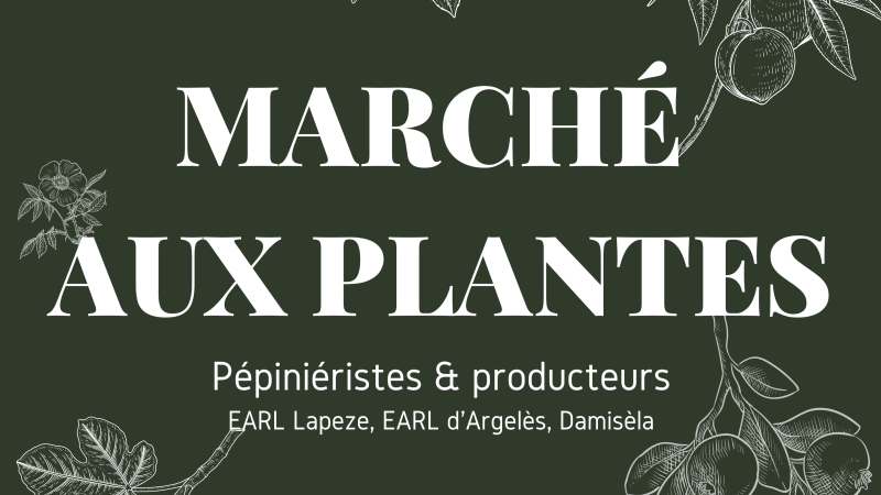 Marché aux plantes et produits locaux