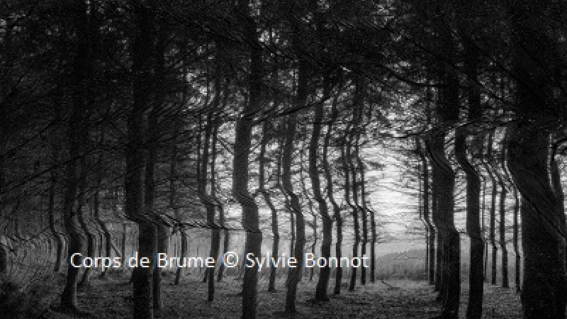 Résidence de Sylvie Bonnot au centre d'art  :   La nature des sols