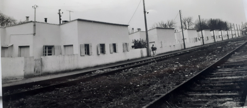 Exposition sur les Harkis de Mirande, aux Archives départementales