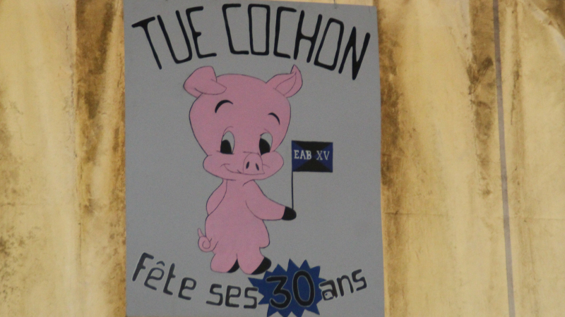 Le Tue cochon