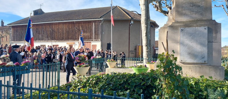 Cérémonie du 11 novembre : un moment de recueillement toujours très suivi