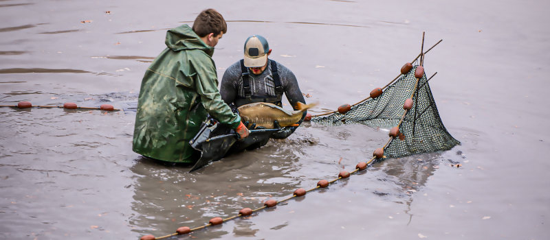 Perchède: la pêche traditionnelle a été abondante