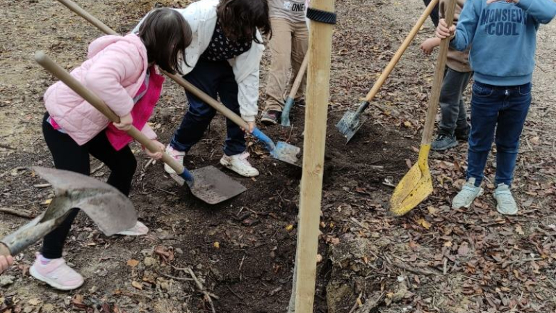 Les plantations d'arbres par les élèves  de l'école