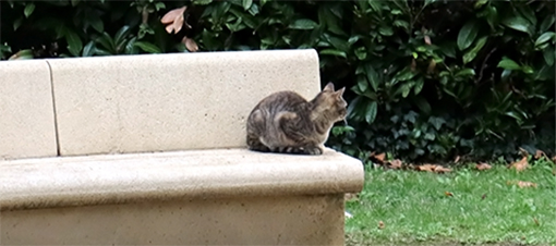 Chat (002).jpg