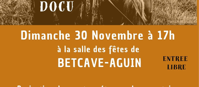Projection-rencontre de l'atelier vidéo "Bavard'âges de voisinage"