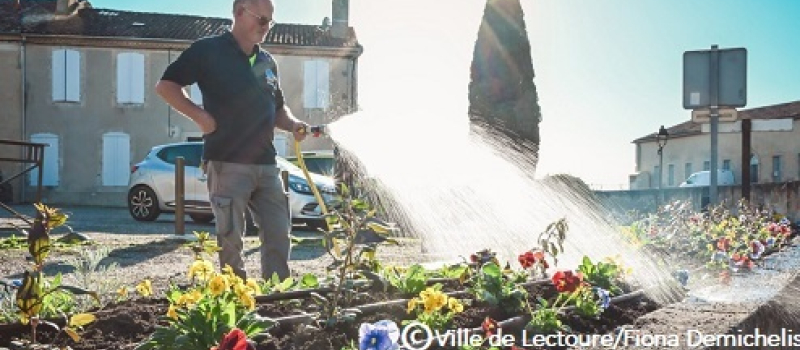 Lectoure, ville 4 fleurs, passe au fleurissement d’hiver