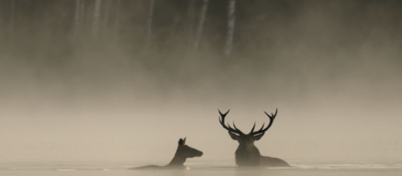 Cinequanon vous propose une soirée "ciné nature"!
