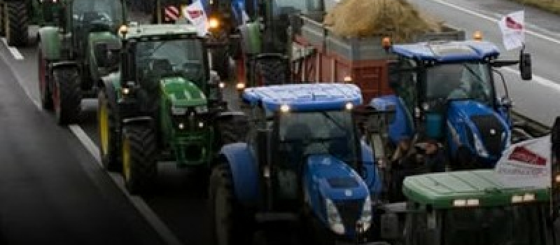Administration implacable : abattage total, pas de tri, pas de pitié.