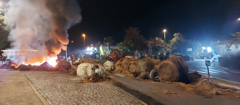 Les agriculteurs durcissent le mouvement, « l’abattage total, c’est la goutte de trop »