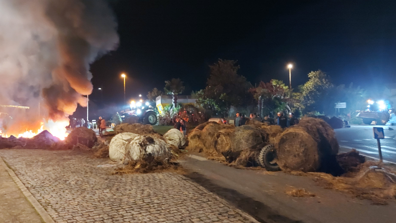Les agriculteurs durcissent le mouvement, « l’abattage total, c’est la goutte de trop »