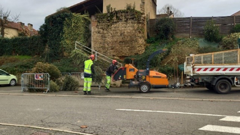 Récup des sapins un geste écolo