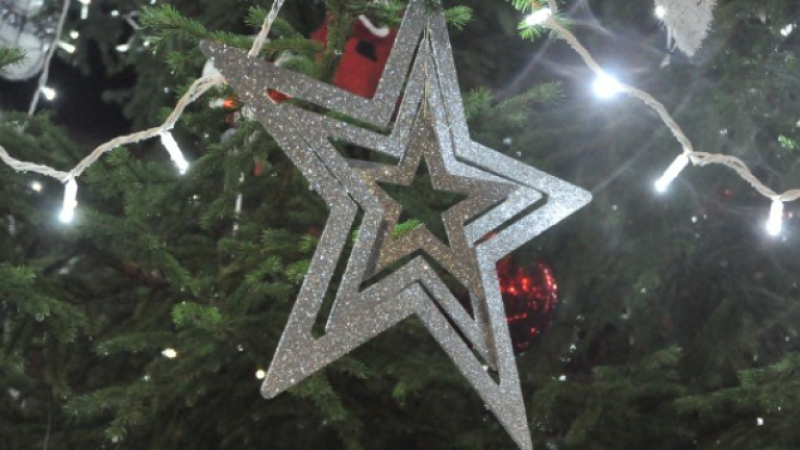Donnez une seconde vie à votre sapin !