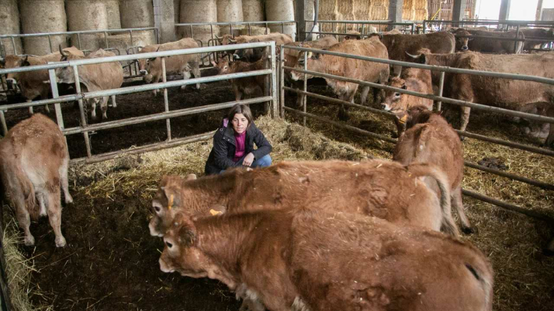 Confédération paysanne : "On ne se laissera pas abattre ! "