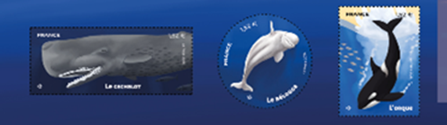 image006(1).png