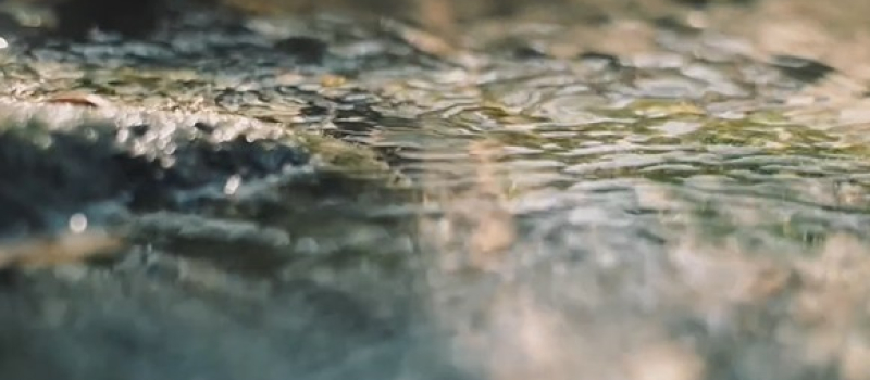 Ciné-débats autour des enjeux de l’eau sur notre territoire