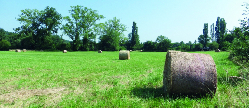 La Région Occitanie réaffirme son soutien à l’installation agricole etau renouvellement des générations