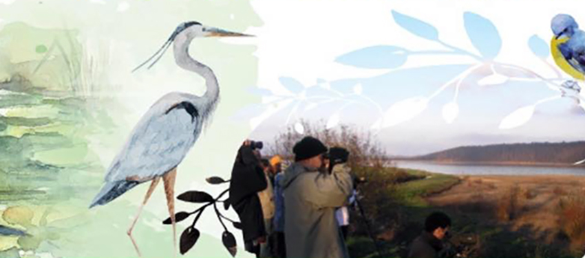 heron cpie gersois.jpg