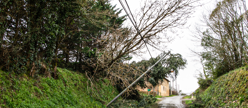 Bouzon-Gellenave: exemple de village touché par la tempête