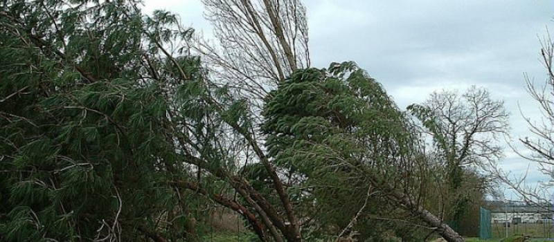 Alerte météo : vigilance jaune vents violents