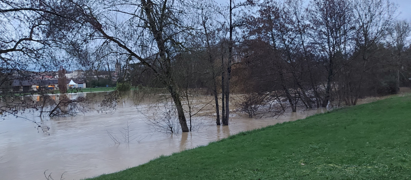 Tempête Pedro ce mercredi : le Département invite à la prudence sur les routes en raison du risque de nouvelles chutes d’arbres