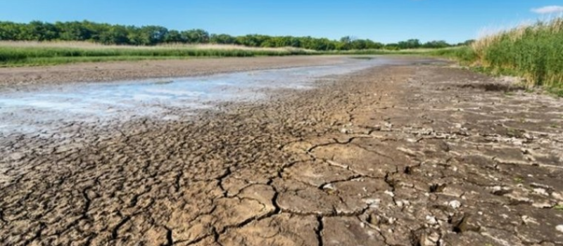 Intempéries 2025 : indemnisation des pertes de fonds et de récolte suite aux calamités agricoles de l’année 2025