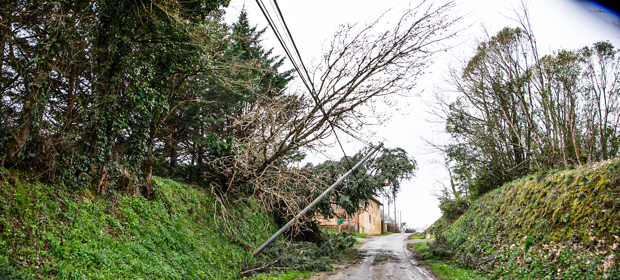 000 Chantier vu d'en bas branches basses coupées 1bis 140226 - Copie.jpg