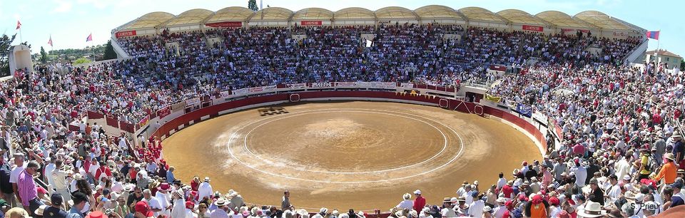 arènes de Vic-Fezensac